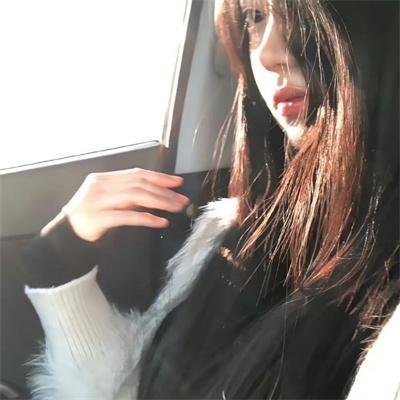 小狗吉米走私事件